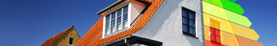 Banner - Frank Springer